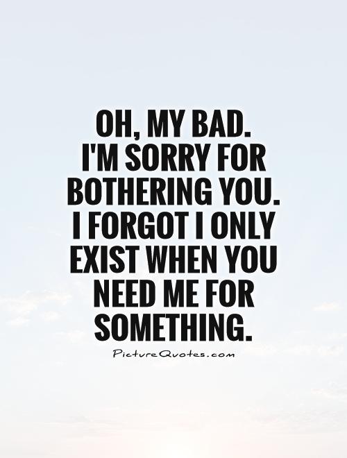 Oh, my bad.  I'm sorry for bothering you.  I forgot I only exist when you need me for something Picture Quote #1