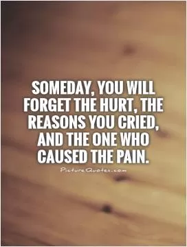 Someday, you will forget the hurt, the reasons you cried, and the one who caused the pain Picture Quote #1