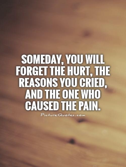 Someday, you will forget the hurt, the reasons you cried, and the one who caused the pain Picture Quote #1