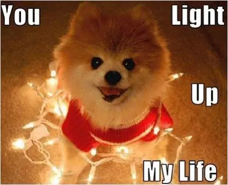 You light up my life Picture Quote #1