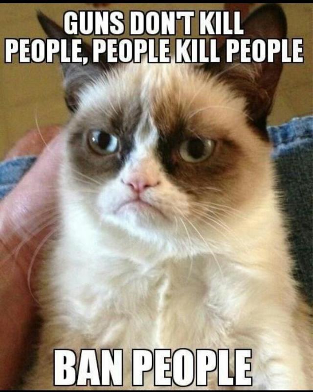 Guns don't kill people, people kill people. Ban people Picture Quote #1