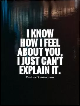 I know  how I feel about you, I just can't explain it Picture Quote #1