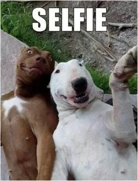 Selfie Picture Quote #1