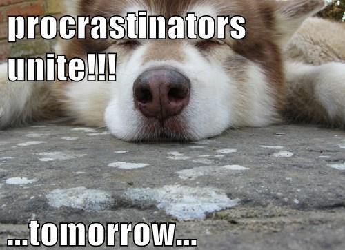 Procrastinators unite. Tomorrow Picture Quote #2