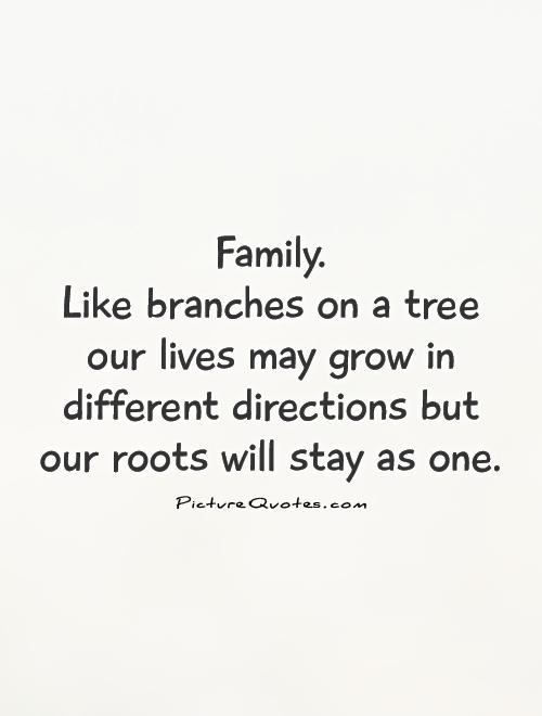 Family.  Like branches on a tree our lives may grow in different directions but our roots will stay as one Picture Quote #1