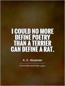 I could no more define poetry than a terrier can define a rat Picture Quote #1