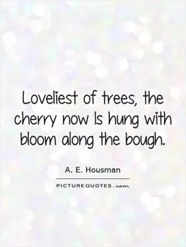Loveliest of trees, the cherry now Is hung with bloom along the bough Picture Quote #1