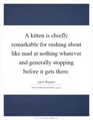 A kitten is chiefly remarkable for rushing about like mad at nothing whatever and generally stopping before it gets there Picture Quote #1