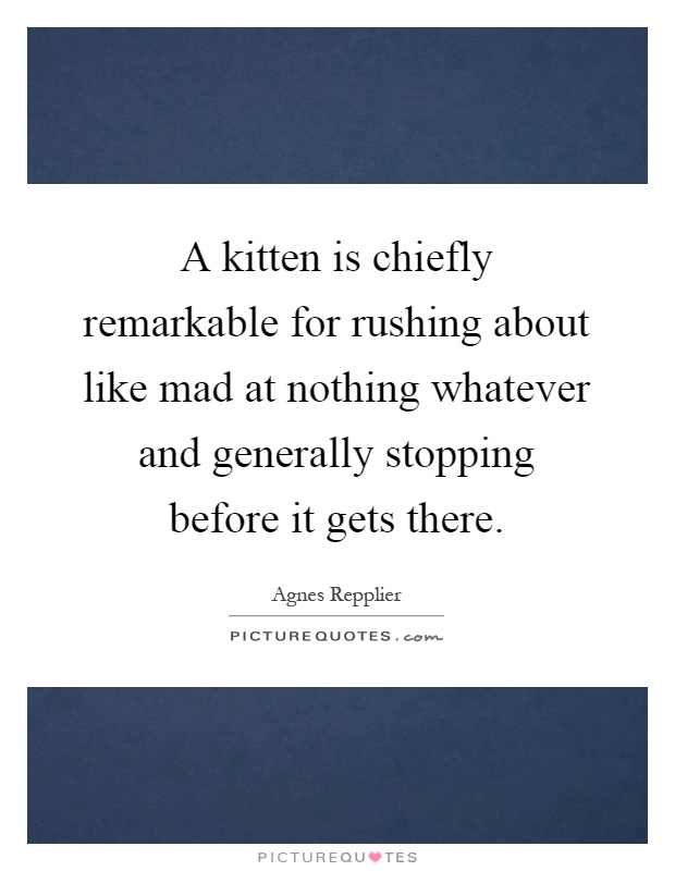 A kitten is chiefly remarkable for rushing about like mad at nothing whatever and generally stopping before it gets there Picture Quote #1