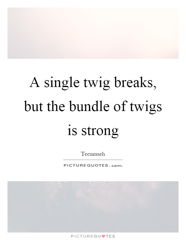 A single twig breaks, but the bundle of twigs is strong Picture Quote #1