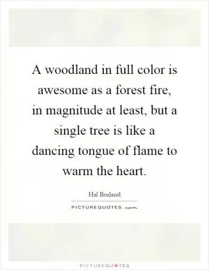 A woodland in full color is awesome as a forest fire, in magnitude at least, but a single tree is like a dancing tongue of flame to warm the heart Picture Quote #1
