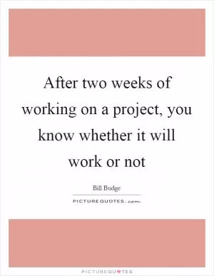 After two weeks of working on a project, you know whether it will work or not Picture Quote #1