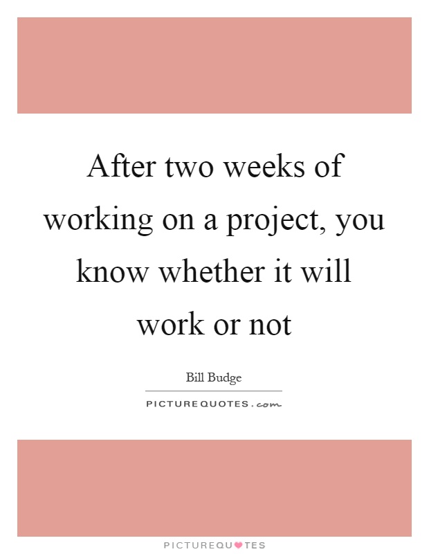 After two weeks of working on a project, you know whether it will work or not Picture Quote #1