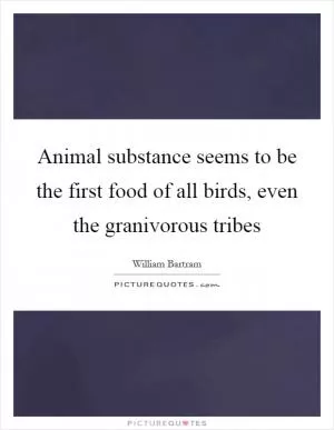 Animal substance seems to be the first food of all birds, even the granivorous tribes Picture Quote #1