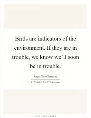 Birds are indicators of the environment. If they are in trouble, we know we’ll soon be in trouble Picture Quote #1