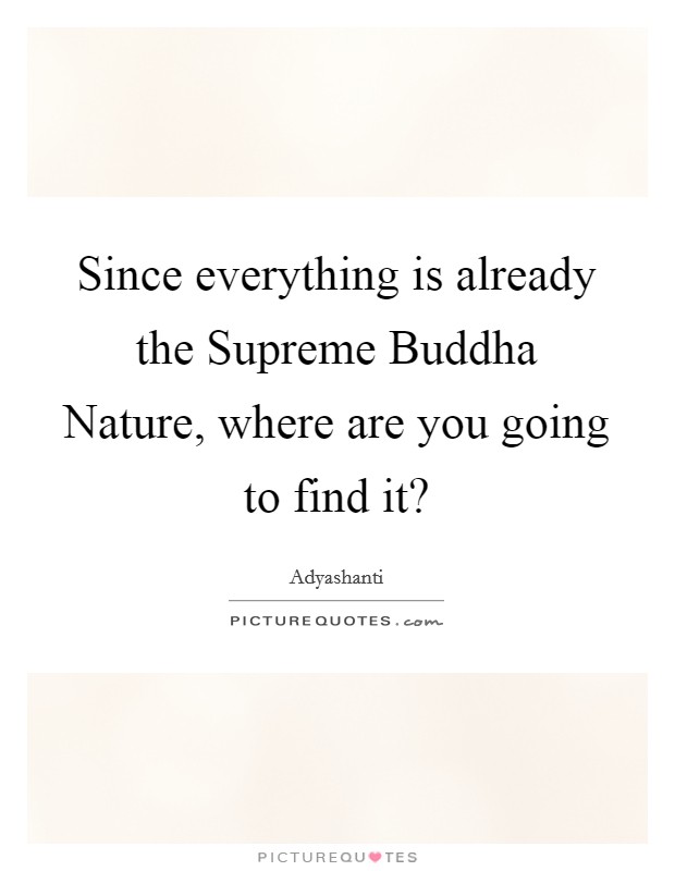 Since everything is already the Supreme Buddha Nature, where are you going to find it? Picture Quote #1