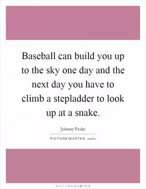 Baseball can build you up to the sky one day and the next day you have to climb a stepladder to look up at a snake Picture Quote #1