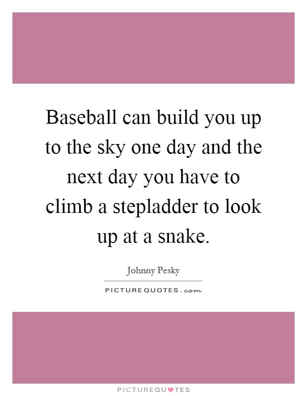 Baseball can build you up to the sky one day and the next day you have to climb a stepladder to look up at a snake. Picture Quote #1