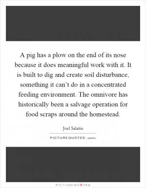 A pig has a plow on the end of its nose because it does meaningful work with it. It is built to dig and create soil disturbance, something it can’t do in a concentrated feeding environment. The omnivore has historically been a salvage operation for food scraps around the homestead Picture Quote #1