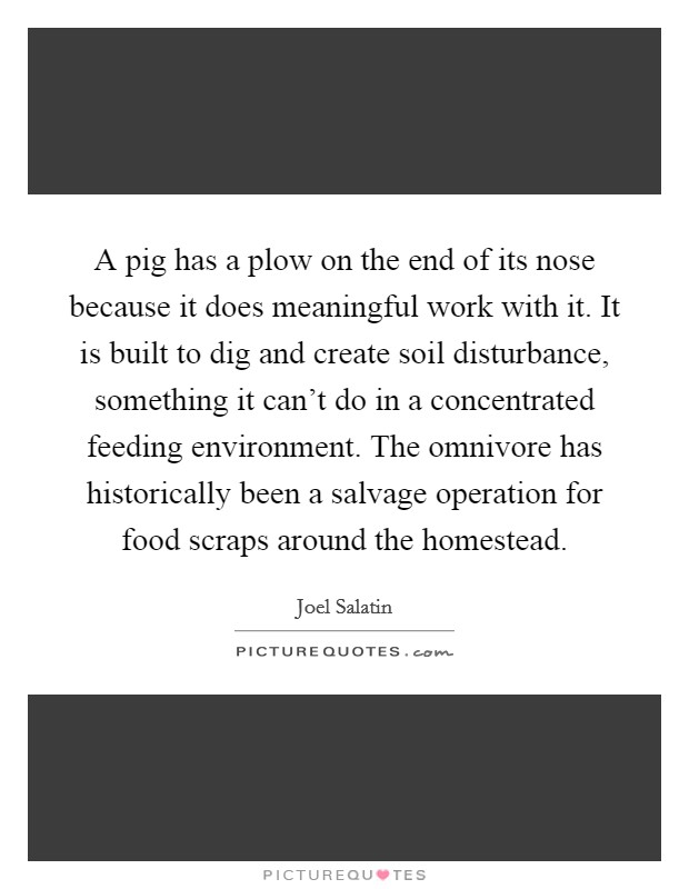 A pig has a plow on the end of its nose because it does meaningful work with it. It is built to dig and create soil disturbance, something it can't do in a concentrated feeding environment. The omnivore has historically been a salvage operation for food scraps around the homestead. Picture Quote #1