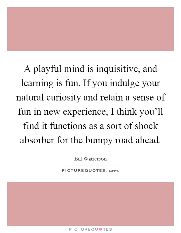 A playful mind is inquisitive, and learning is fun. If you indulge your natural curiosity and retain a sense of fun in new experience, I think you'll find it functions as a sort of shock absorber for the bumpy road ahead. Picture Quote #1
