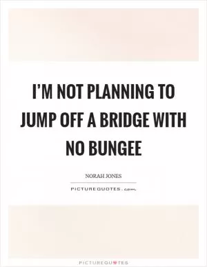 I’m not planning to jump off a bridge with no bungee Picture Quote #1