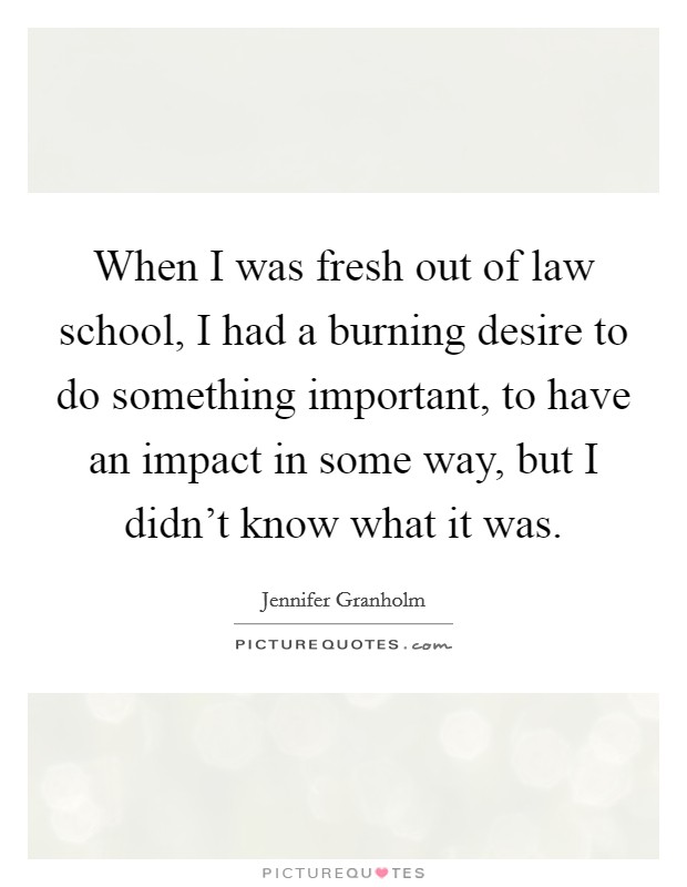 When I was fresh out of law school, I had a burning desire to do something important, to have an impact in some way, but I didn't know what it was. Picture Quote #1