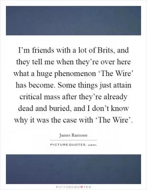 I’m friends with a lot of Brits, and they tell me when they’re over here what a huge phenomenon ‘The Wire’ has become. Some things just attain critical mass after they’re already dead and buried, and I don’t know why it was the case with ‘The Wire’ Picture Quote #1