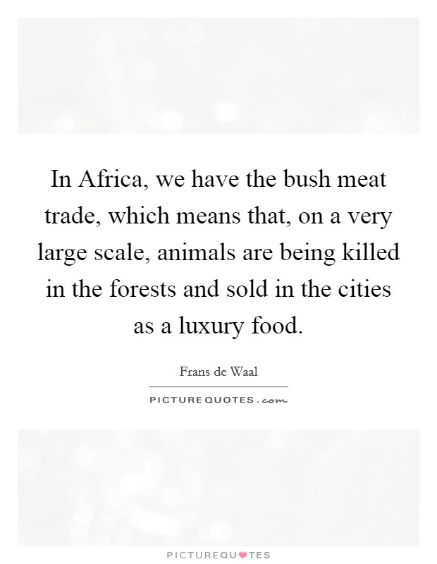 In Africa, we have the bush meat trade, which means that, on a very large scale, animals are being killed in the forests and sold in the cities as a luxury food. Picture Quote #1