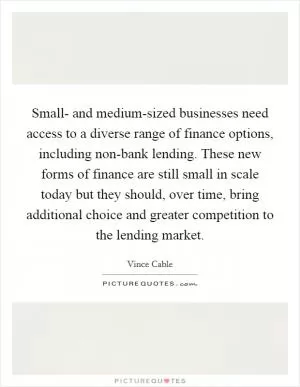 Small- and medium-sized businesses need access to a diverse range of finance options, including non-bank lending. These new forms of finance are still small in scale today but they should, over time, bring additional choice and greater competition to the lending market Picture Quote #1