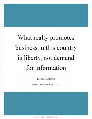 What really promotes business in this country is liberty, not demand for information Picture Quote #1
