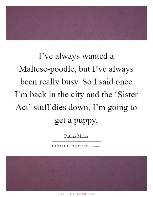 I've always wanted a Maltese-poodle, but I've always been really busy. So I said once I'm back in the city and the ‘Sister Act' stuff dies down, I'm going to get a puppy. Picture Quote #1