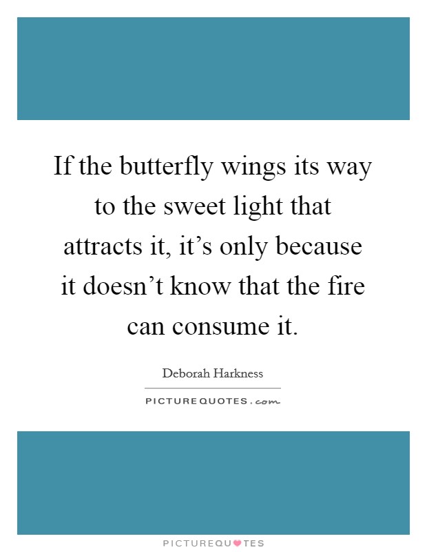 If the butterfly wings its way to the sweet light that attracts it, it's only because it doesn't know that the fire can consume it. Picture Quote #1