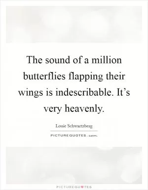 The sound of a million butterflies flapping their wings is indescribable. It’s very heavenly Picture Quote #1