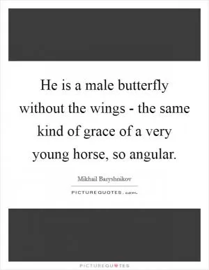 He is a male butterfly without the wings - the same kind of grace of a very young horse, so angular Picture Quote #1