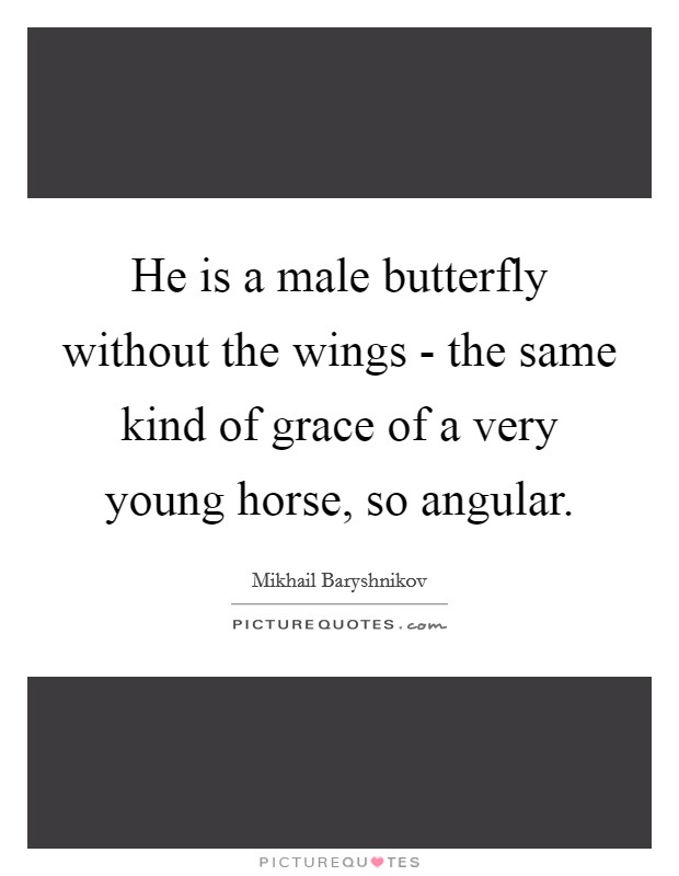 He is a male butterfly without the wings - the same kind of grace of a very young horse, so angular. Picture Quote #1