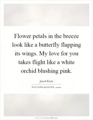 Flower petals in the breeze look like a butterfly flapping its wings. My love for you takes flight like a white orchid blushing pink Picture Quote #1
