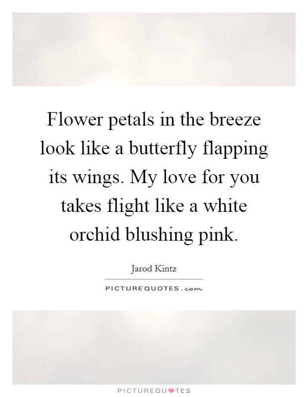 Flower petals in the breeze look like a butterfly flapping its wings. My love for you takes flight like a white orchid blushing pink. Picture Quote #1