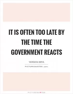 It is often too late by the time the government reacts Picture Quote #1