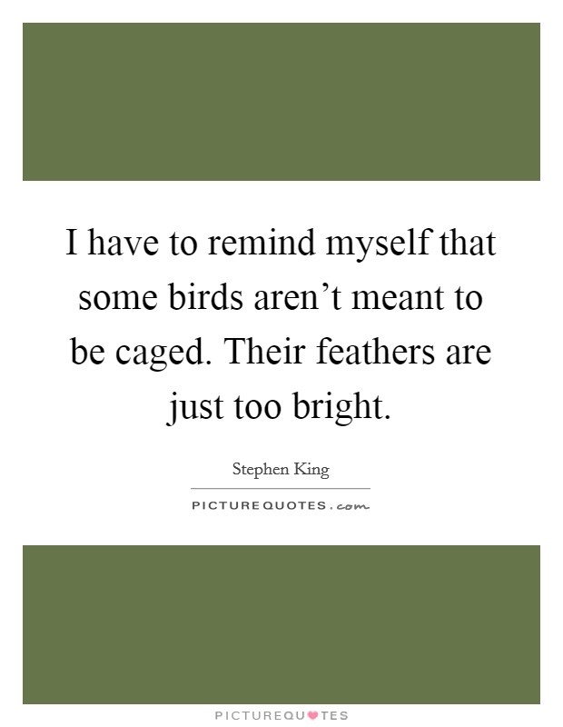 I have to remind myself that some birds aren't meant to be caged. Their feathers are just too bright. Picture Quote #1