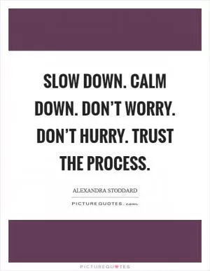 Slow down. Calm down. Don’t worry. Don’t hurry. Trust the process Picture Quote #1