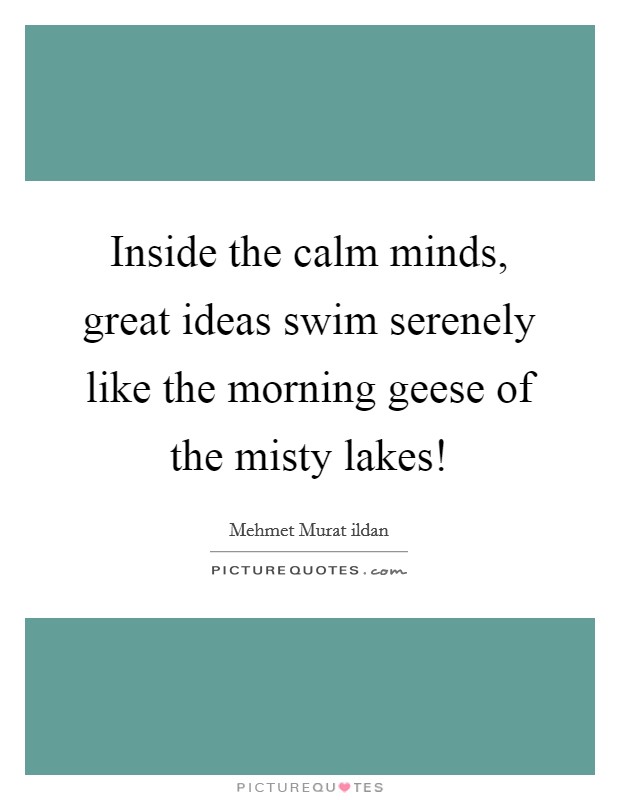 Inside the calm minds, great ideas swim serenely like the morning geese of the misty lakes! Picture Quote #1