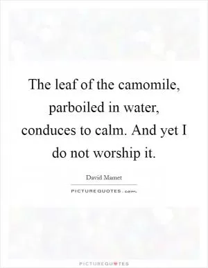 The leaf of the camomile, parboiled in water, conduces to calm. And yet I do not worship it Picture Quote #1