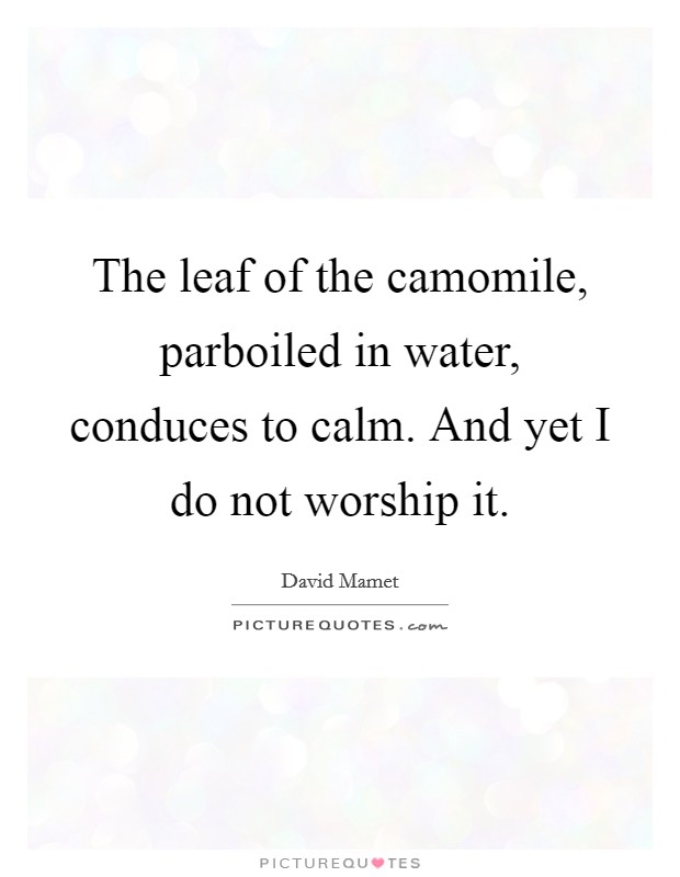 The leaf of the camomile, parboiled in water, conduces to calm. And yet I do not worship it. Picture Quote #1