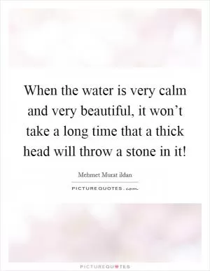 When the water is very calm and very beautiful, it won’t take a long time that a thick head will throw a stone in it! Picture Quote #1