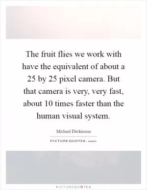 The fruit flies we work with have the equivalent of about a 25 by 25 pixel camera. But that camera is very, very fast, about 10 times faster than the human visual system Picture Quote #1