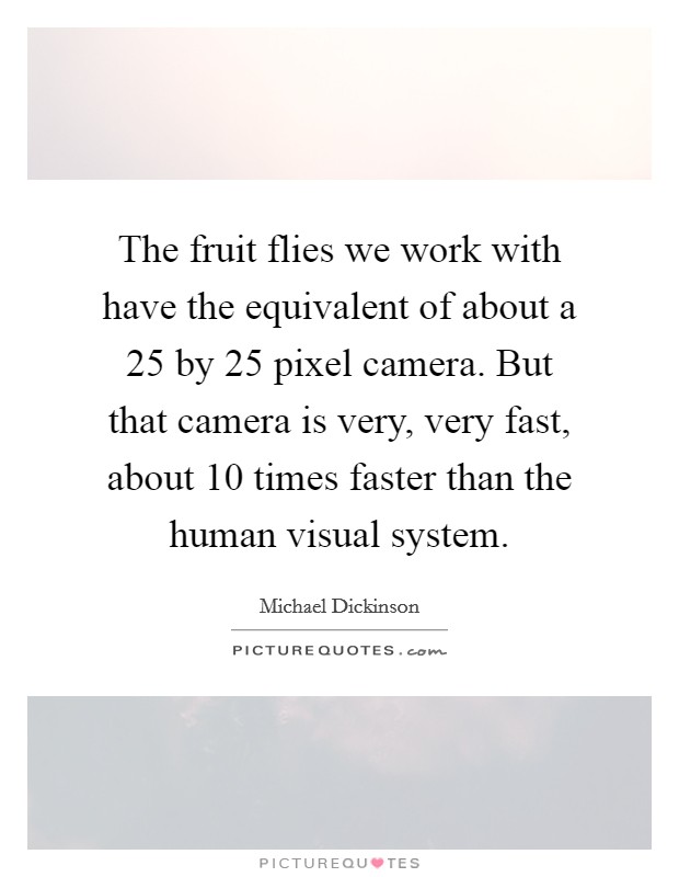 The fruit flies we work with have the equivalent of about a 25 by 25 pixel camera. But that camera is very, very fast, about 10 times faster than the human visual system. Picture Quote #1