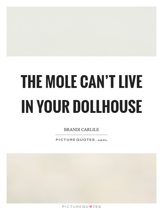 The mole can't live in your dollhouse Picture Quote #1