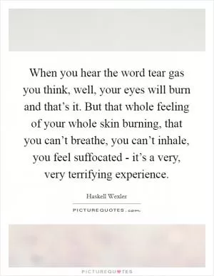 When you hear the word tear gas you think, well, your eyes will burn and that’s it. But that whole feeling of your whole skin burning, that you can’t breathe, you can’t inhale, you feel suffocated - it’s a very, very terrifying experience Picture Quote #1