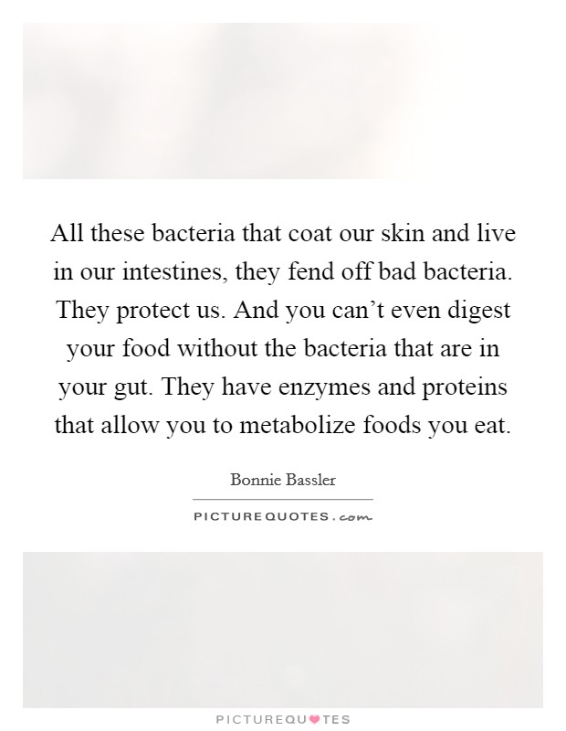 All these bacteria that coat our skin and live in our intestines, they fend off bad bacteria. They protect us. And you can't even digest your food without the bacteria that are in your gut. They have enzymes and proteins that allow you to metabolize foods you eat. Picture Quote #1